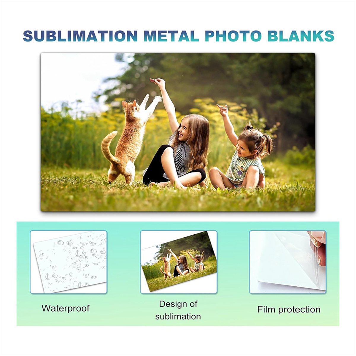 10PCS Sublimation Metal Photo  - B & J Florist Supply Linwood 评论和价格